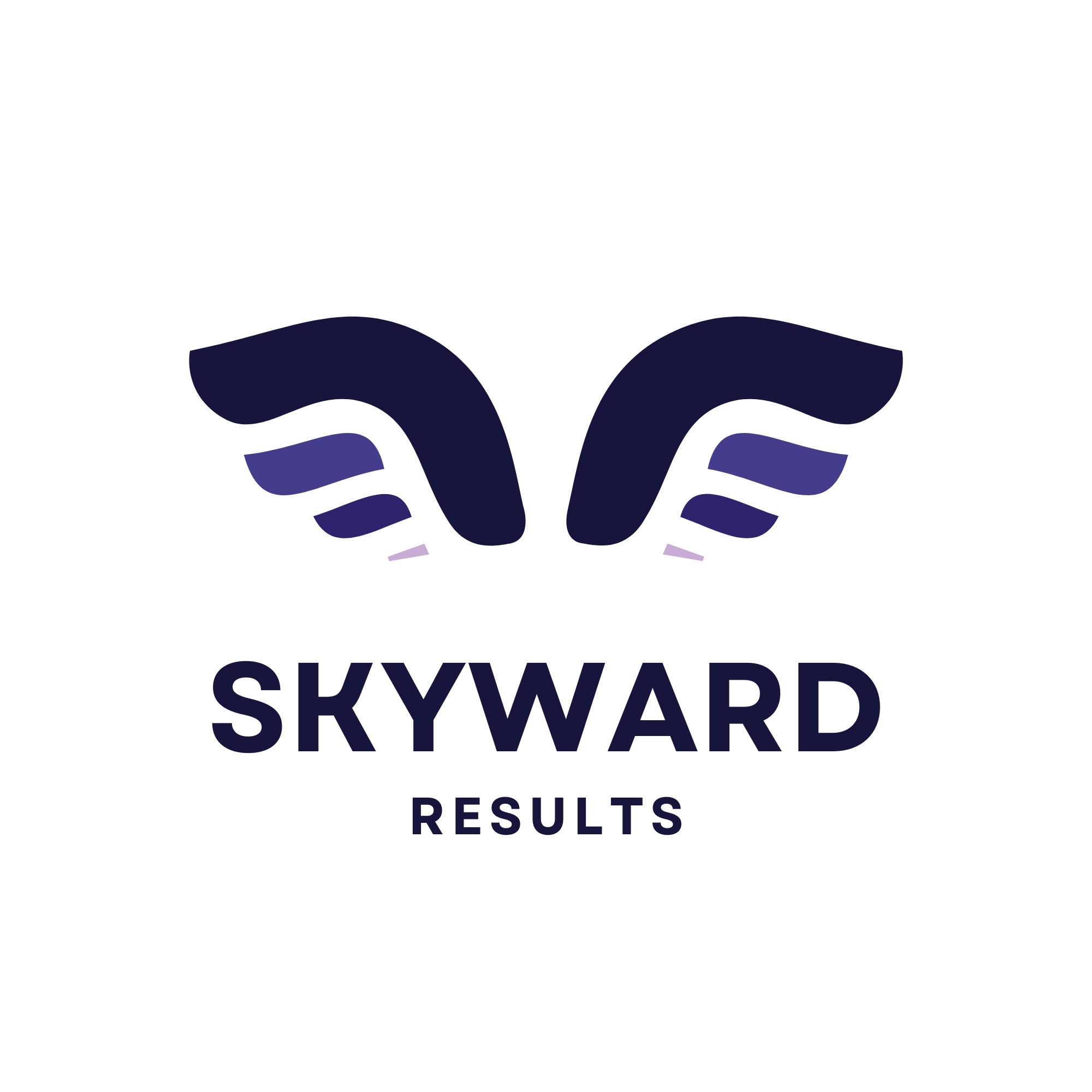Skyward Results